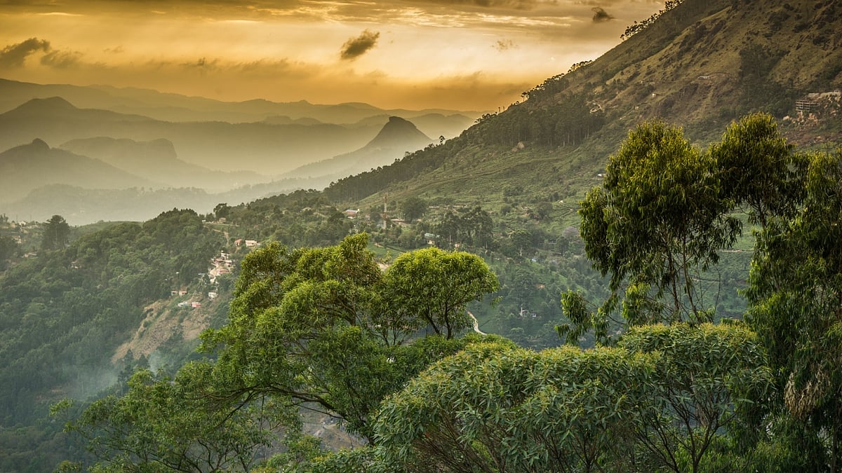 in-pics-5-places-to-visit-in-india-during-monsoon